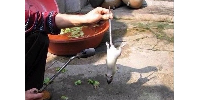 街頭烤乳鴿慎買 有人拍下其制作全過程