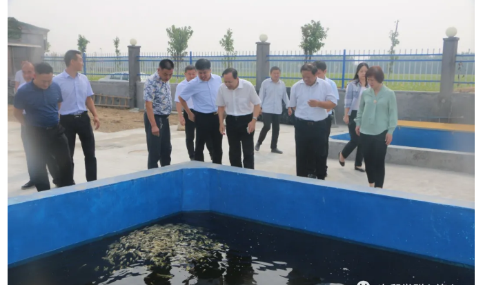 省國資委黨委委員、副主任，機關(guān)黨委書記尹剛到次邱鎮(zhèn)調(diào)研指導(dǎo)省派鄉(xiāng)村振興服務(wù)隊工作